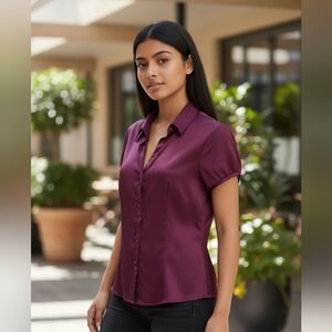 Dress Blouse Ann Taylor
